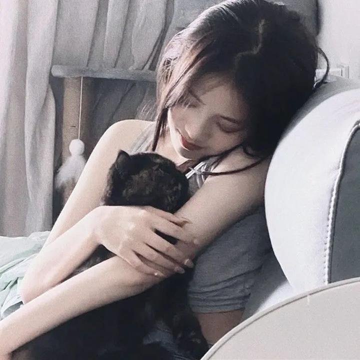 风骚律师第一季